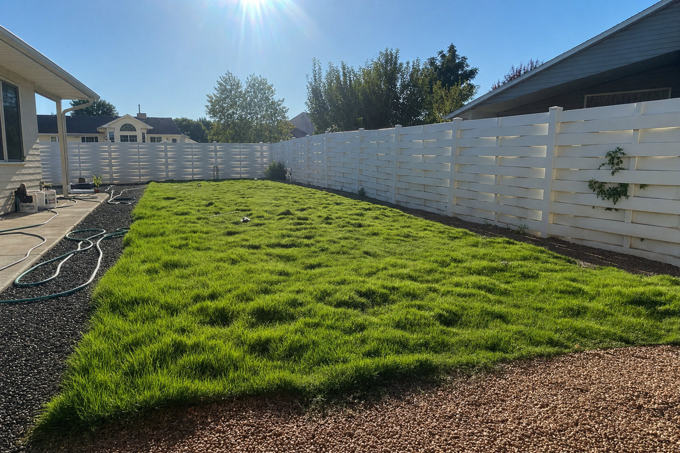 Drought-Tolerant Turf in Wichita Falls, TX