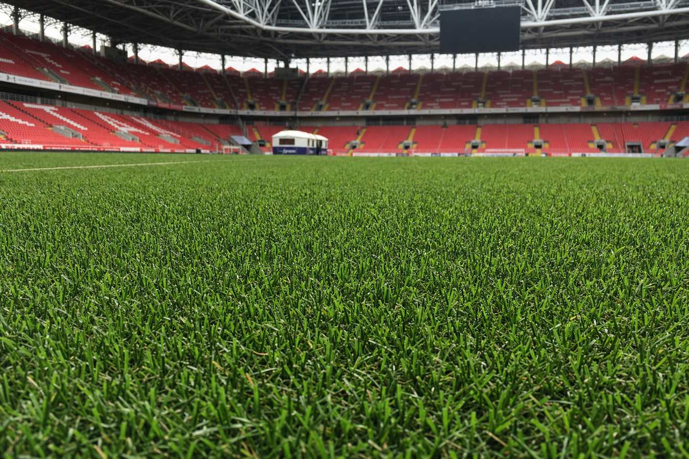 Artificial Grass Contractor services in Gainesville TX
